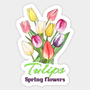 Spring flowers Tulips- Gifts with printed flowers Sticker